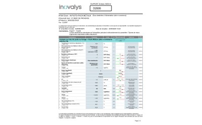 EXEMPLE D'analyse INOVALYS (puits + pack métaux)  Page 2