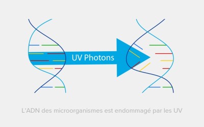 La révolution UV Led